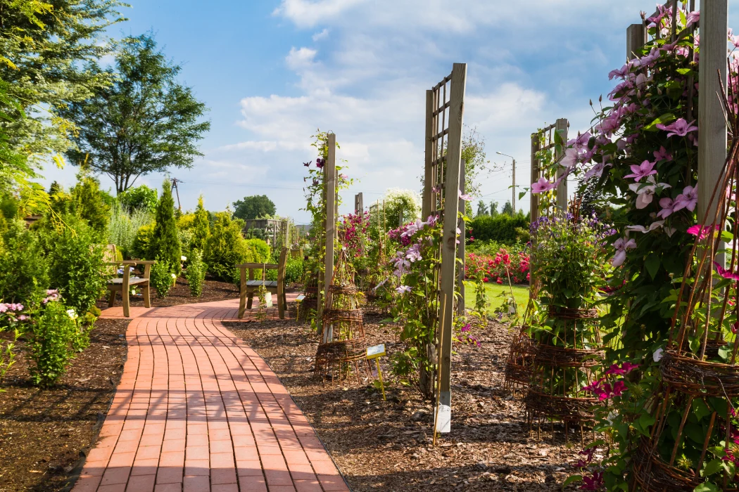 landscaping